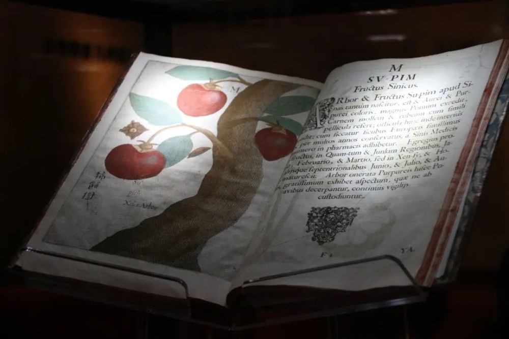 1477-1877