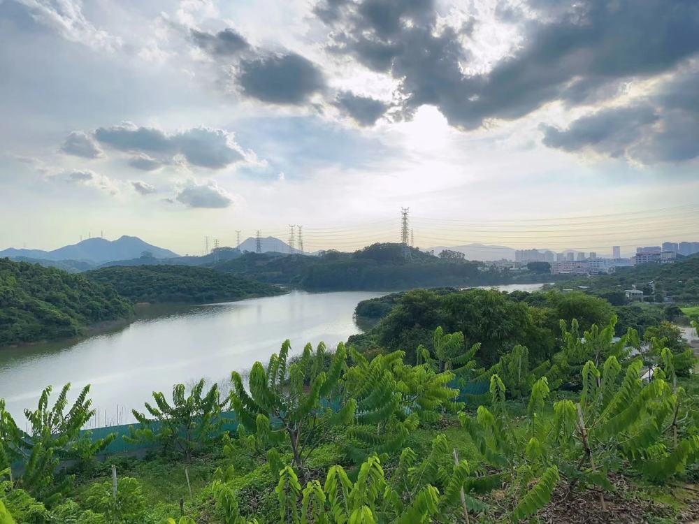 它位於東莞市大朗鎮的山野之間,這裡背靠群山,面朝羅田水庫,天然無