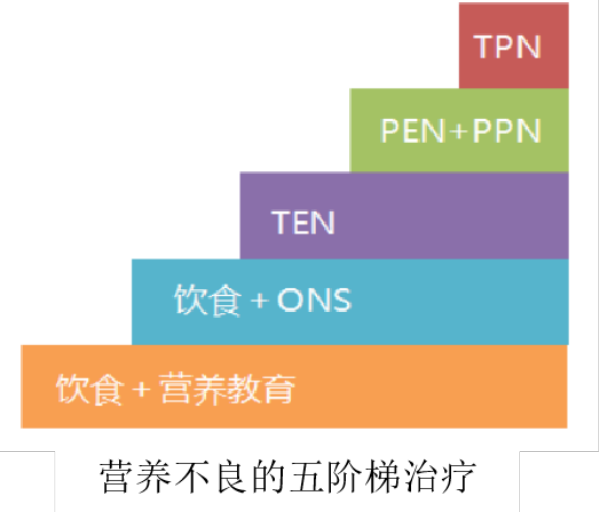 体型的消瘦,入院以后遵照营养不良的五阶梯治疗[4,我们立即循序渐进