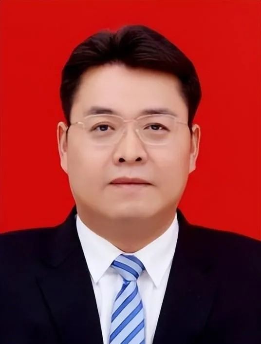 "全国优秀县委书记"张世伟已任咸宁市委副书记,宣传部部长