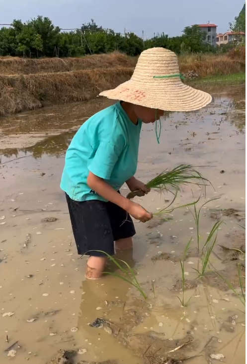 通讯员陶盼供图视频中,姚嘉睿头戴草帽,站在稻田中认真插秧.