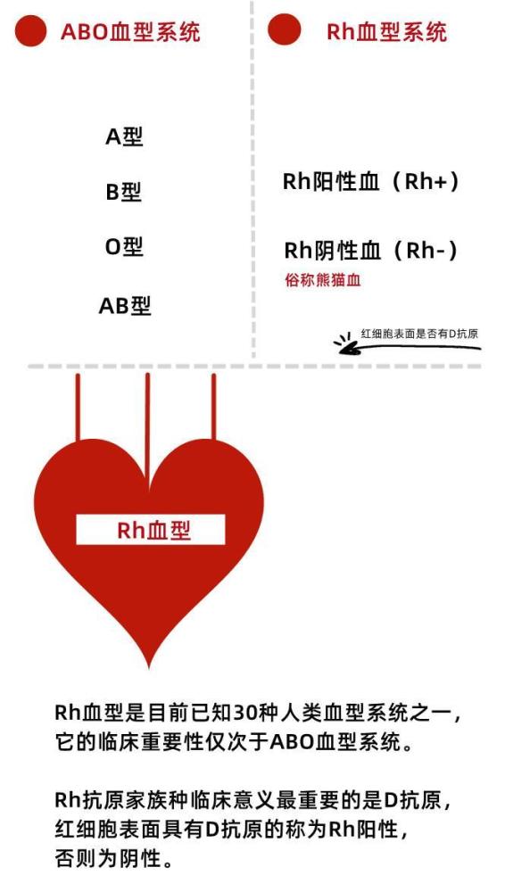 这种血型全球不足50例?江苏新发现2例_腾讯新闻