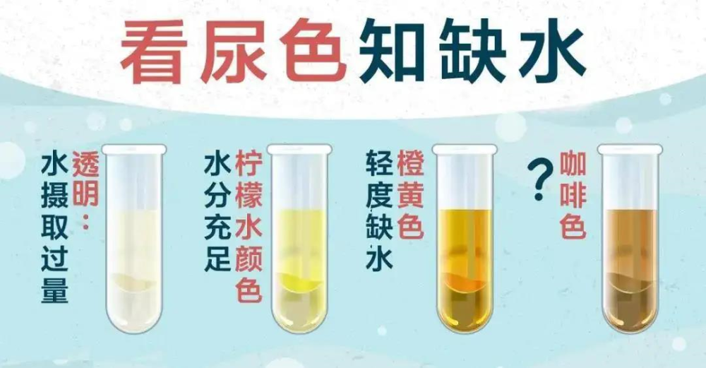 他們來自湖南生產和工作第一線，將出席黨的二十大源碼怎么做成app軟件那英征服原唱