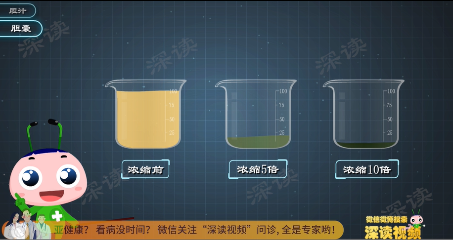 被胆囊这么一浓缩,胆汁就从金黄色变成深绿色了.