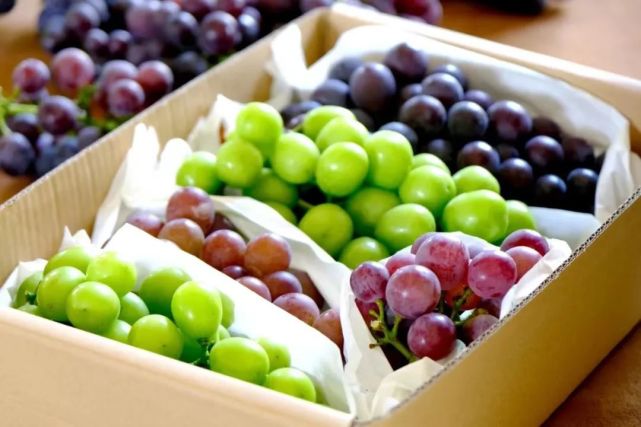 葡萄云品鉴 共赴甜蜜盛宴:2022灞桥葡萄云品鉴直播推广活动成功举办