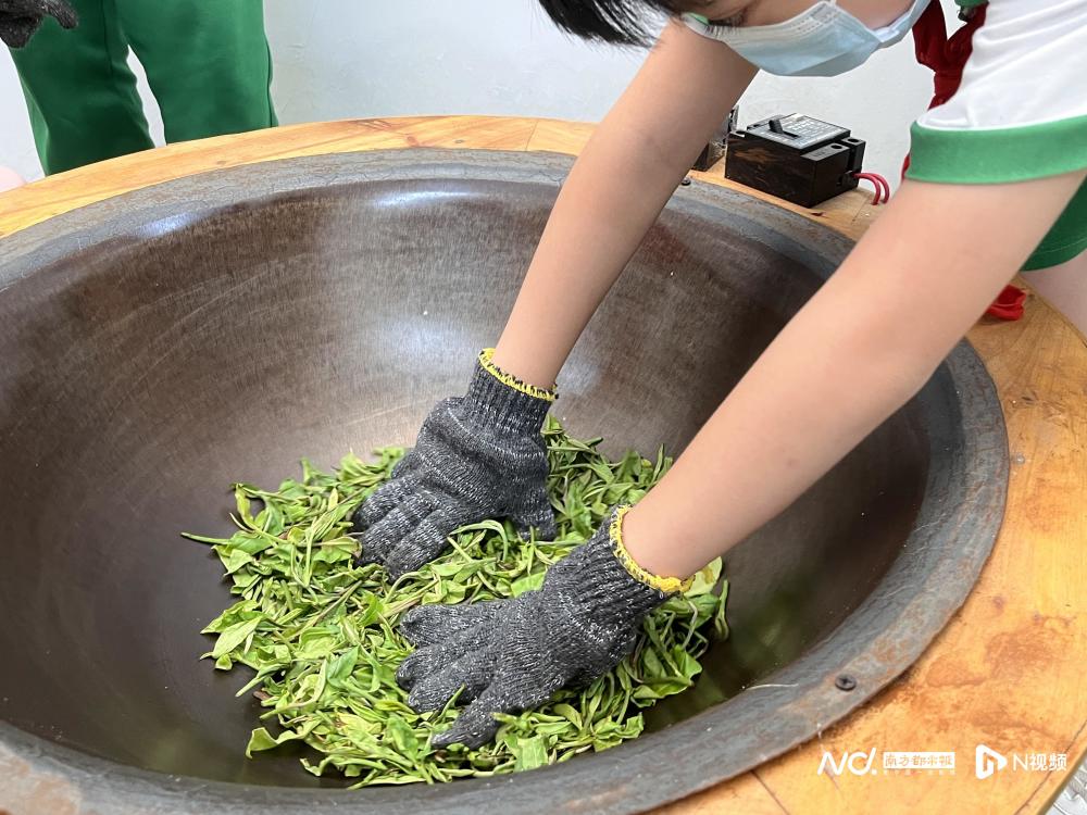 制茶品茶荔湾区南塘大街小学的开学第一课真香