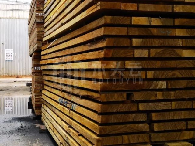 加蓬:预计到2025年木材产量将增长近50%