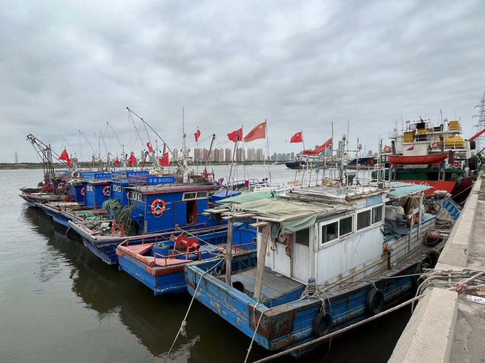 目前新区有5个渔港,分别是大神堂,蔡家堡,北塘,东沽,中心渔港,市民