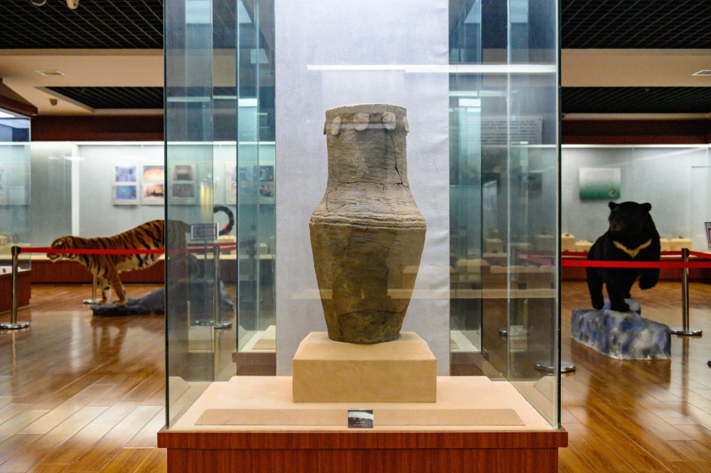 "酒真不怕巷子深",定西市博物馆镇馆之宝曾巡展欧洲十余年_腾讯新闻