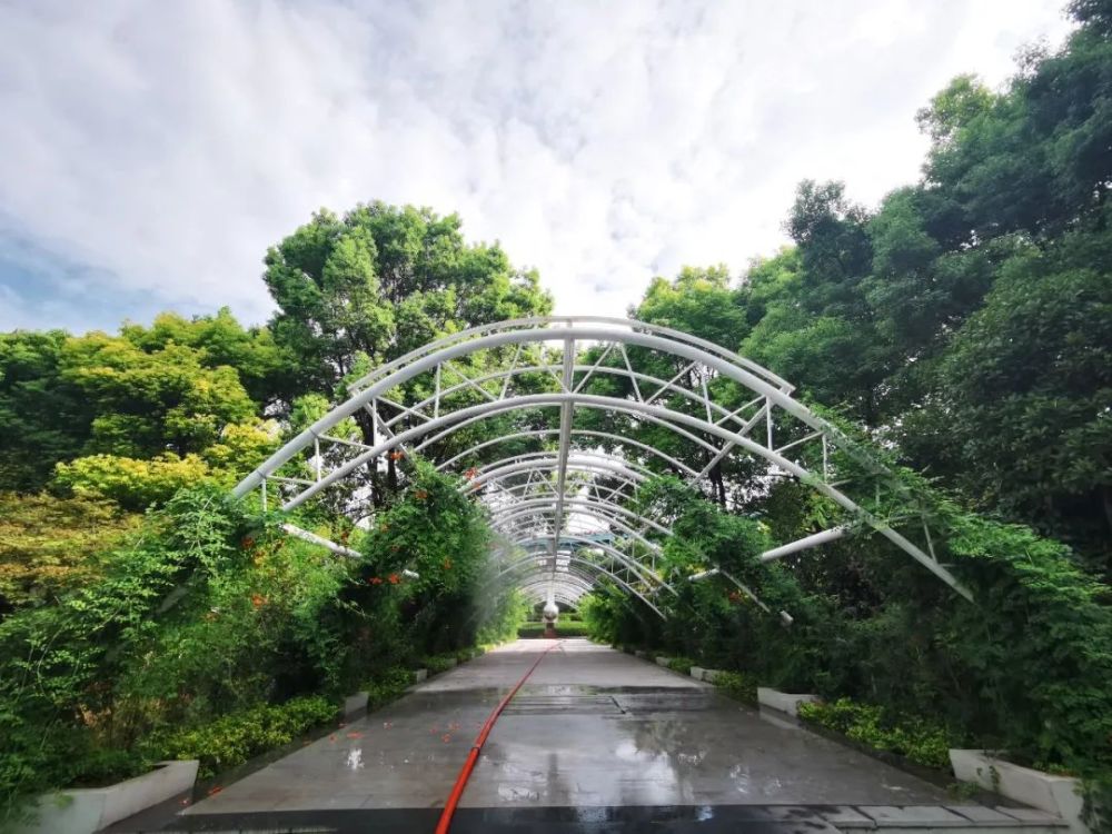 长宁的sw绿道改造后全新亮相