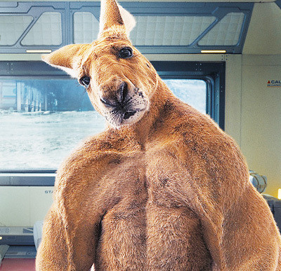 《独行月球》工作照.沈腾(左)和袋鼠刚子饰演者郝瀚在拍摄现场.