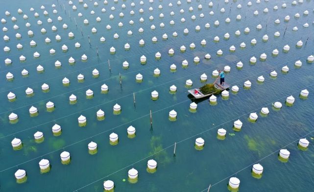 2021年网箱拆除补偿标准 2021年网箱拆除补偿标准是多少