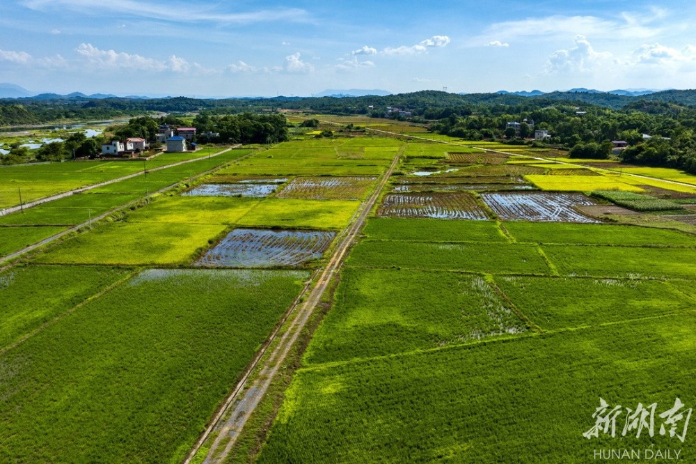 石期市镇四大产业铺就古驿振兴路