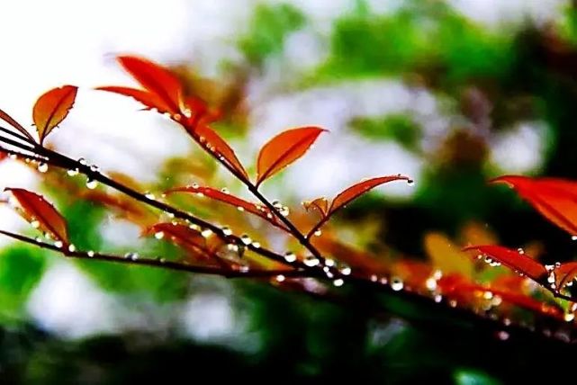 斑驳的老屋又浸润春风秋雨昨日的街巷在风雨中变迁风云变幻 潮起潮落