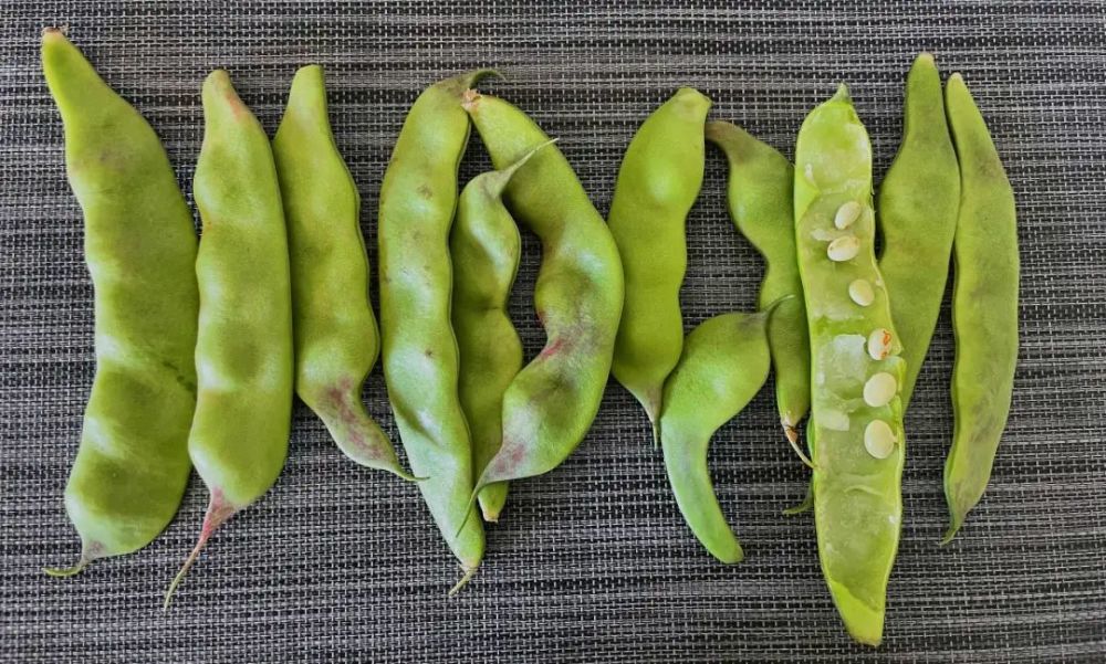 秋天炖菜绝不能少了它!还有帮你控血糖的成分 第13张