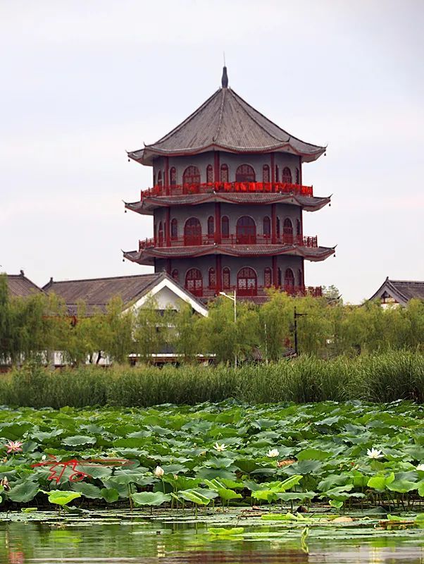 淮阳旅游景点排名前十图片