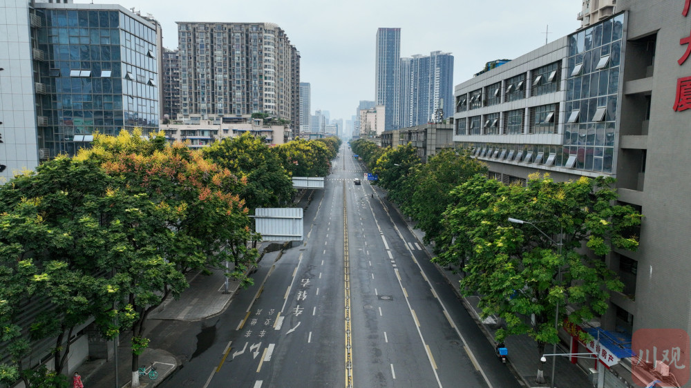 成都北星高架图片