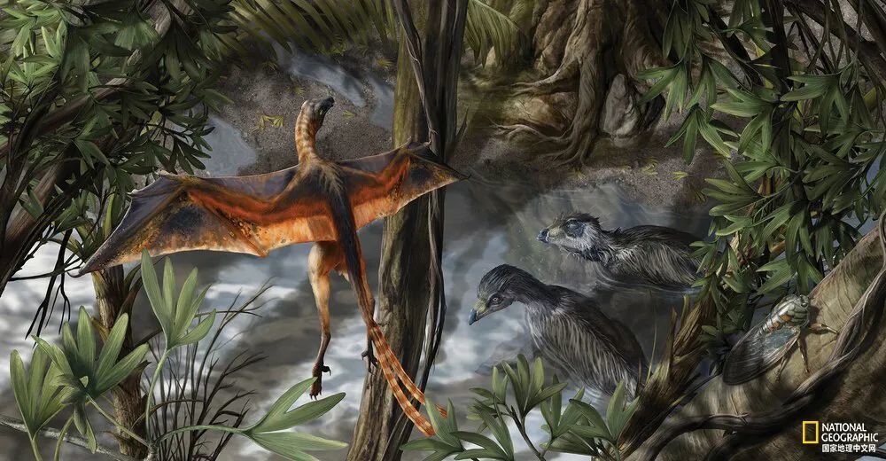 复活恐龙?一点都不难!_腾讯新闻