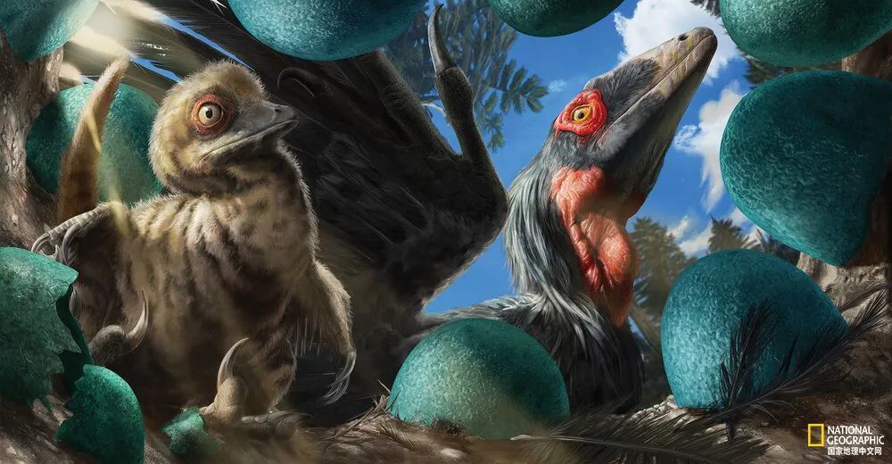 复活恐龙一点都不难