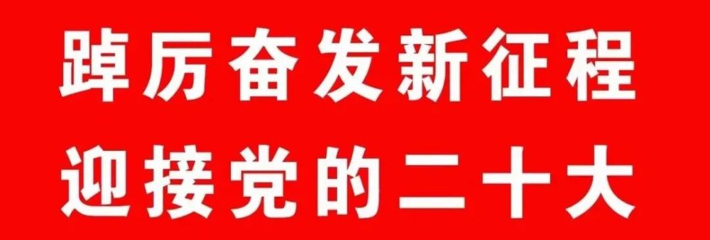 清水用 水中ポンプ ポンディ SMB-20 50ヘルツ 60ヘルツ併用 工進 渇水対策 農家 園芸 農機具 風呂水 吸水 排水 洗車 【良好品】