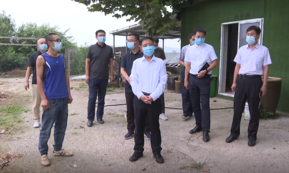 李为军督导调研设施农业生产工作