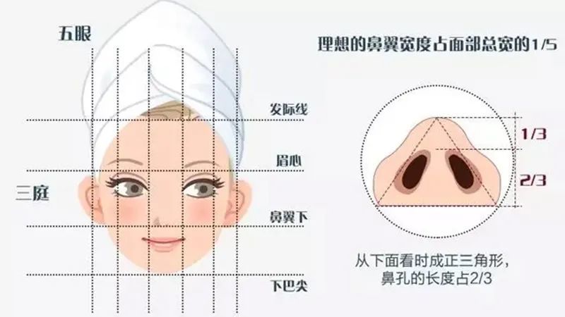 很多人搞不清山根和鼻梁到底在哪里,其实,山根就是在内眼角之间鼻部