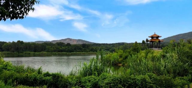 淮南山南湿地公园图片