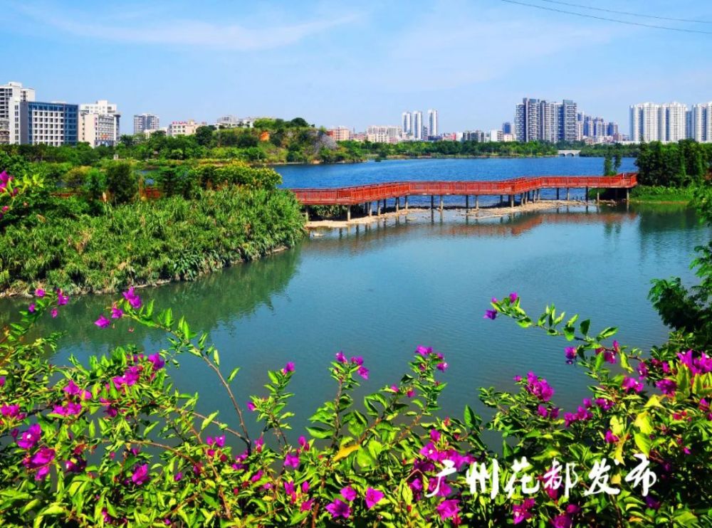 花都湖十年蝶变:从百年巨石坑到国家湿地公园_腾讯新闻