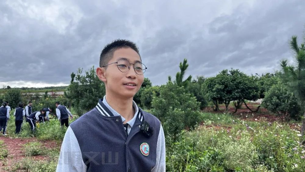 绿美文山丨砚山县第二高级中学:校园如画,领悟绿色之美_腾讯新闻