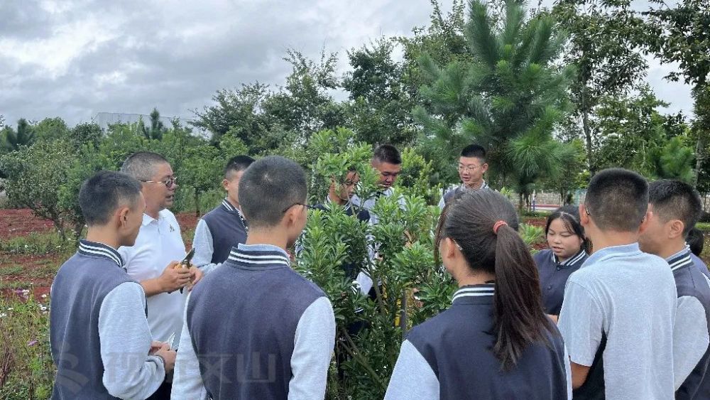 绿美文山丨砚山县第二高级中学:校园如画,领悟绿色之美_腾讯新闻