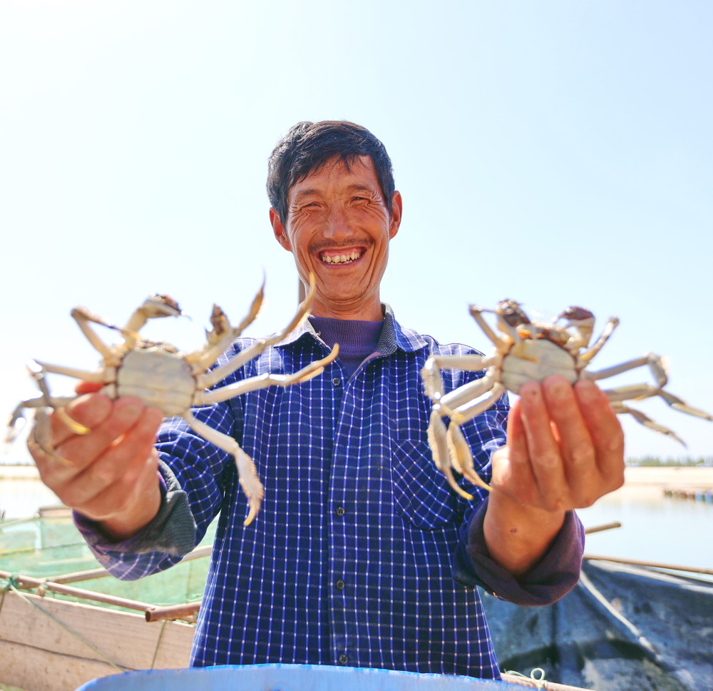 库车市:天山雪蟹新鲜上市_腾讯新闻