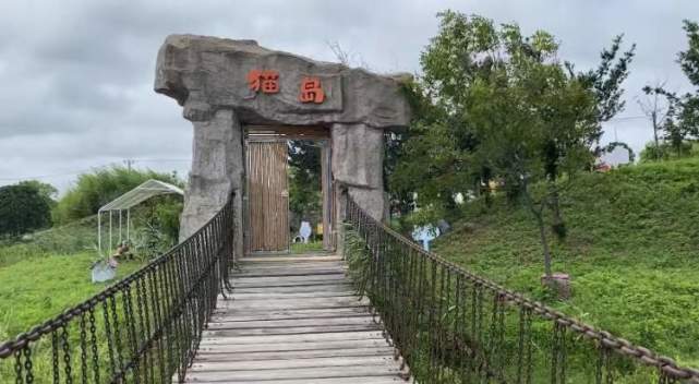 上海竟有座"猫岛"!本市首个城市流浪猫管理中心正式挂牌,流浪猫有家啦