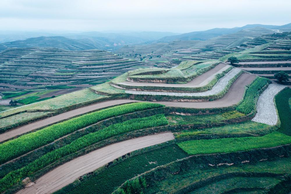 定西美味不止于土豆,现代农业 生态文明,孕育黄土高原一方乐土