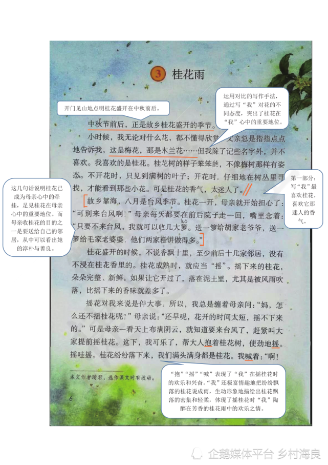 小学五年级上语文3课《桂花雨》课堂笔记,阅读题及练习题