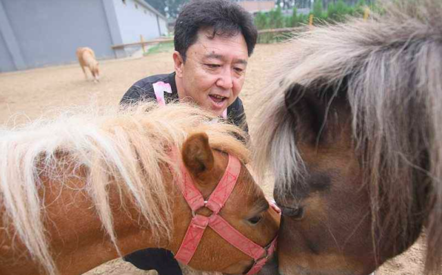 于谦60亩地养马场被拆迁,现场一片狼藉门窗被拆,补偿款尚未透露
