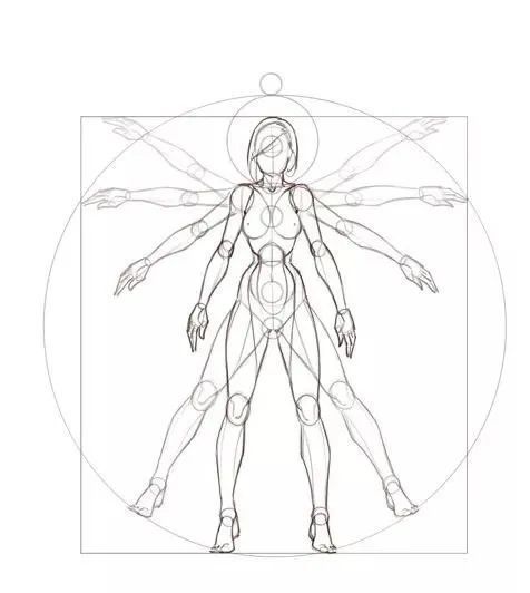 素材|女性动作曲线参考_腾讯新闻