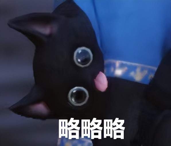 另外因为独特的小表情,咱们嘿嘿猫已经成为新晋表情包风靡