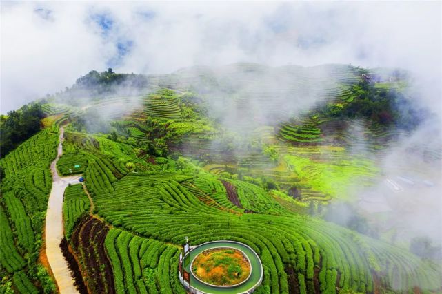 来自于独占高山之优茶园,是茶叶原材料"柘荣高山白茶"的好品质,茶材好