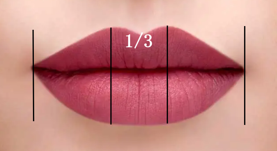 肉感恰当,弧度饱满的的标准唇形主要从长度,唇峰,厚度三点来衡量.