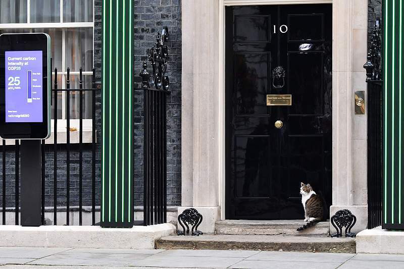 英国“捕鼠大臣”也加入首相之争，伦敦多地出现广告牌，不少网友支持