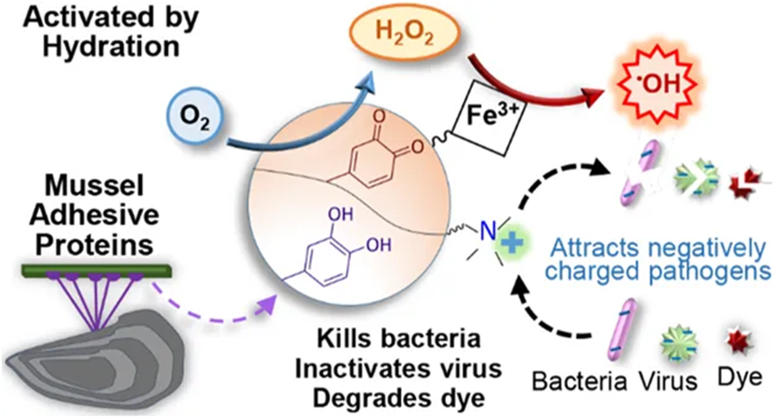人体参与空气净化?science:皮肤表面的油质可与臭氧发生反应,并产生有毒化学物