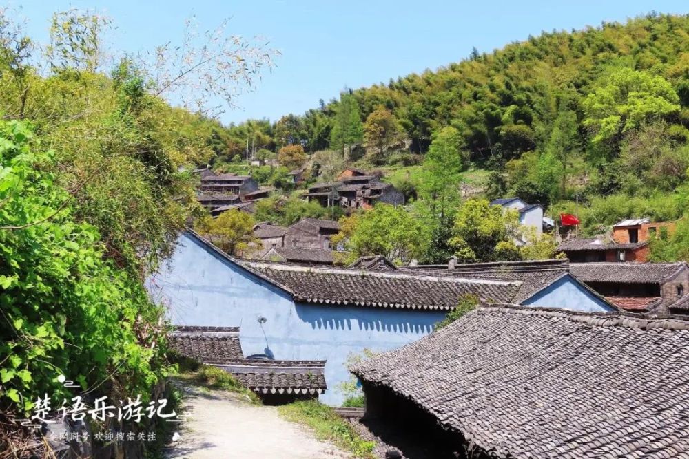 "五山头"之中,俞山村是最西边的一个,也是距离白岩山风车公路