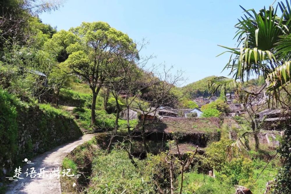 俞山村也是一个藏在山岙中的古村落,村子中的年轻人大多定居在外,村子