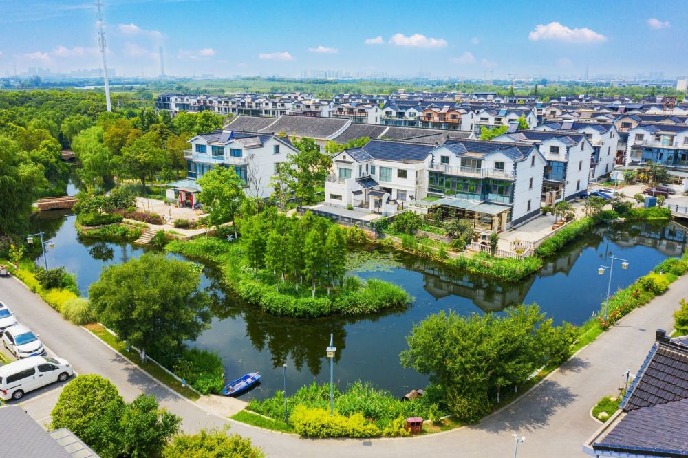 一湾河水碧 风光醉张浦 跟着镜头,一起打开昆山张浦的幸福水美画卷