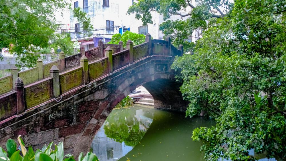 古桥,流水,人情味,再遇初秋的逢简水乡,感受最诗意的烟火气