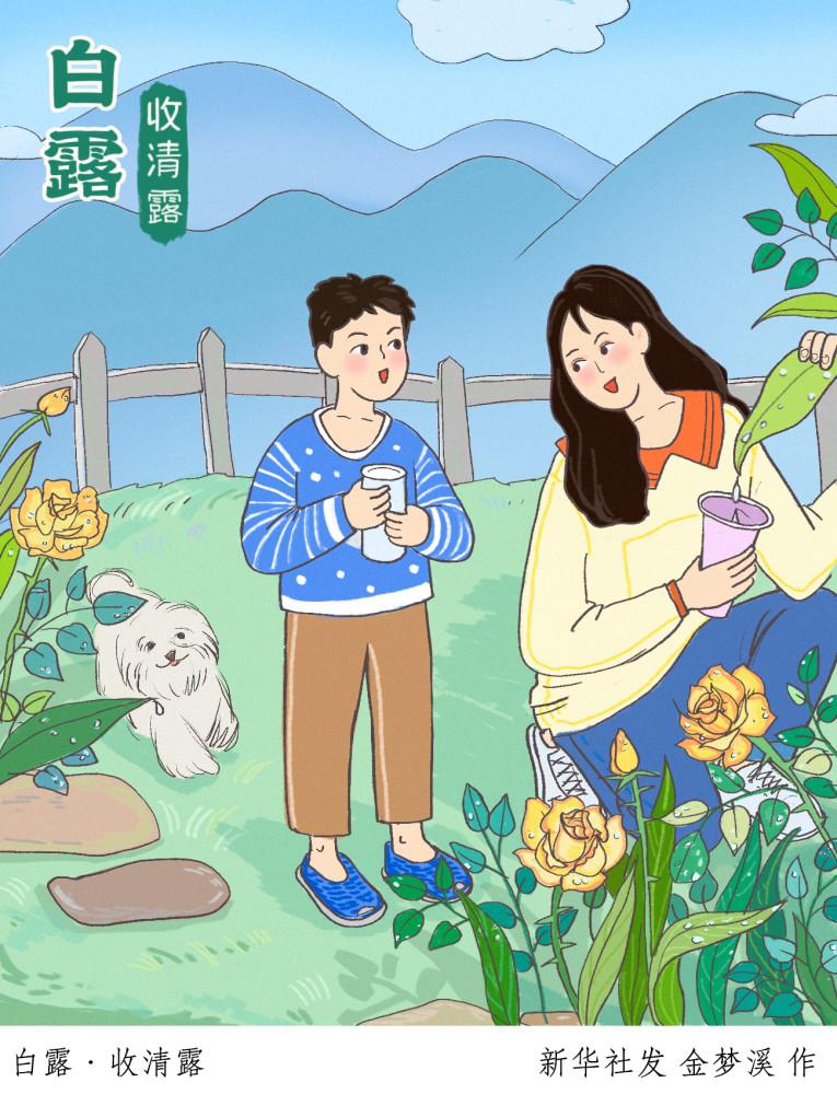 新华社图表,北京,2022年9月6日(插画)白露·收清露新华社发 金梦溪 作