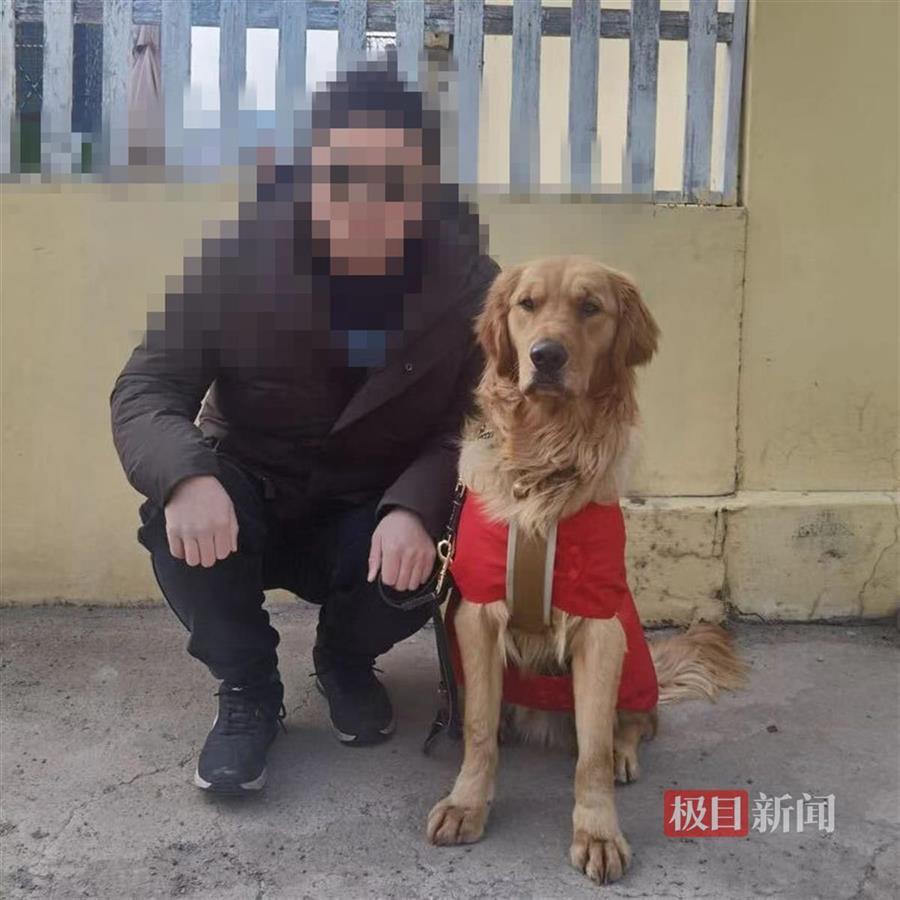 盲人花3年申请的导盲犬被“顺走”，领养基地：训练成本近20万已报警
