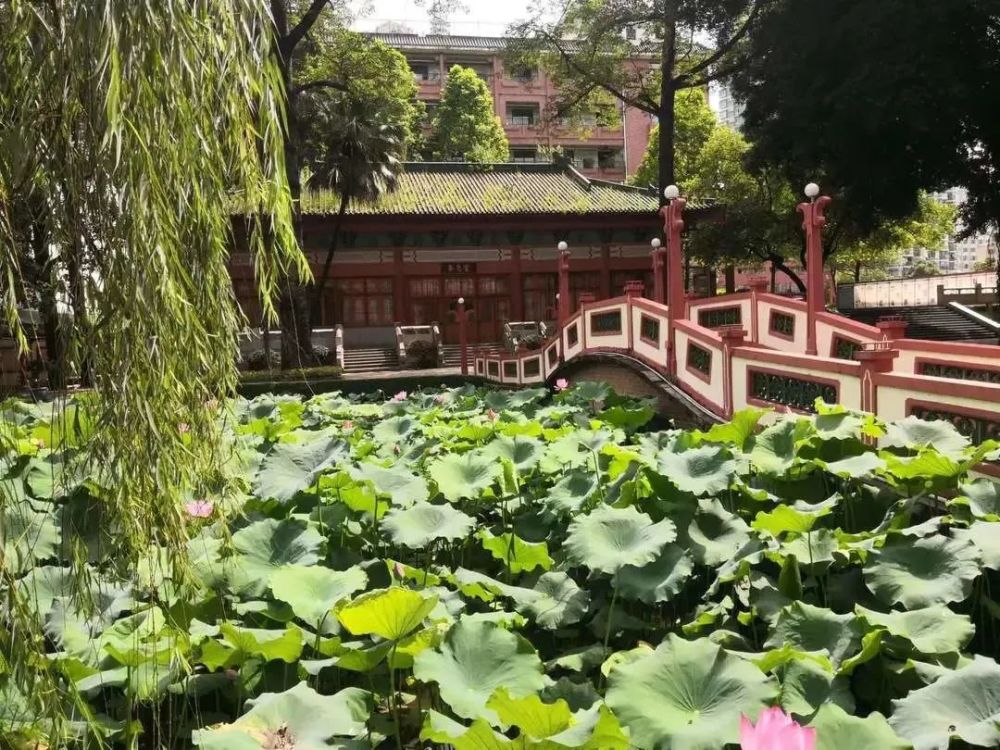 执信中学始终坚持以绿色理念打造极具生活气息的校园,坚持"追寻完整的