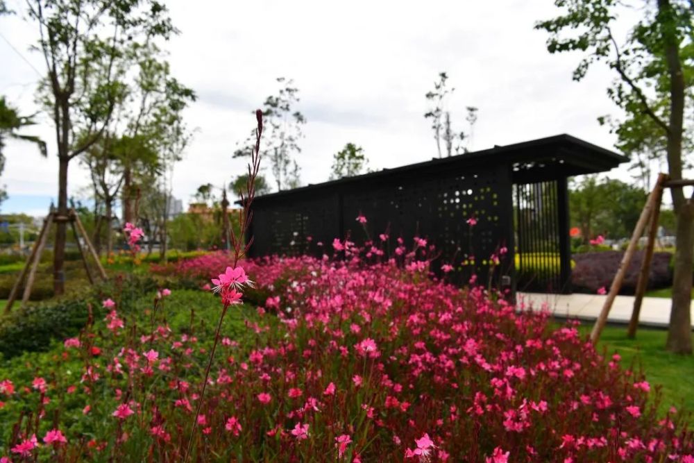 星空长廊,星云墙,花池休闲空间,雨水花园,儿童娱乐区,立体摆花造型等
