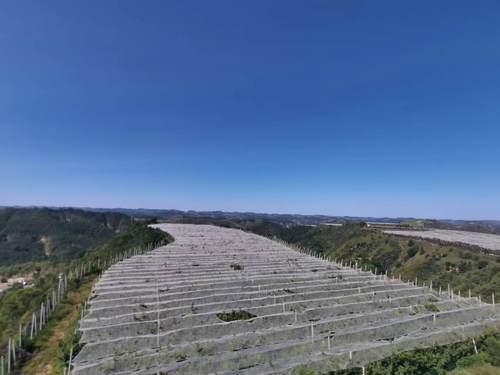 延安市鄉村旅遊示範村